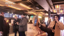 蛋白质娃娃