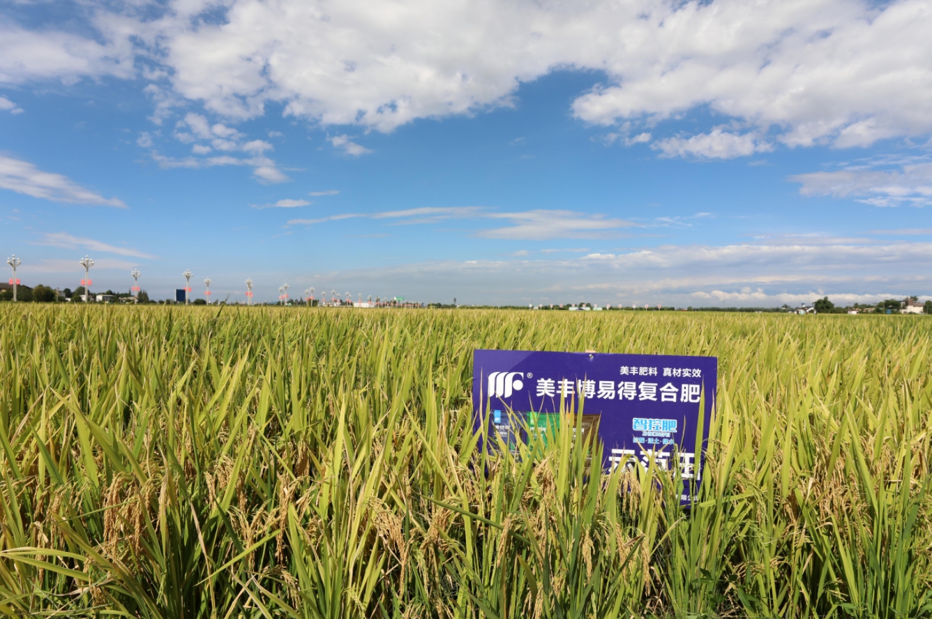 好「丰」景：广汉「粮王」的心愿